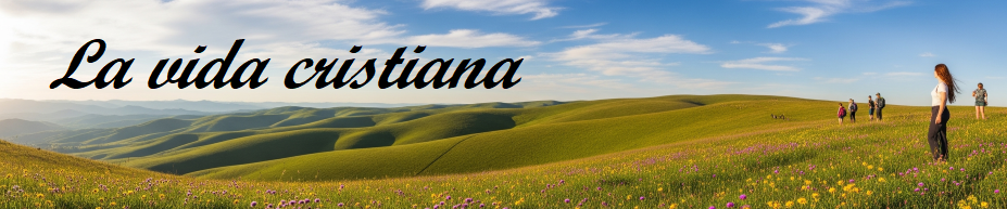 LaVidaCristianaBanner