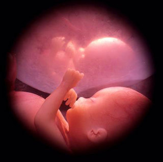 Un feto, de 30 semanas, al interior del vientre de su madre